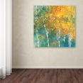 thumbnail image 3 of Trademark Fine Art 'Confetti II' Canvas Art by Julia Purinton, 3 of 3