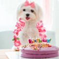 thumbnail image 2 of PAMINGONO 3Pcs Hawaii Party Favor Hawaiian Leis Loop Flower Design for Pet Puppy Cat Party and Family Photo Shoot, 2 of 8