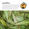 thumbnail image 4 of Aceite esencial de eucalipto Natures-Star, 480 ml, grado terapéutico, 4 of 5