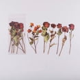 thumbnail image 5 of 6pcs/pack Flower Shop Series Decorative Stickers - Perfect for Scrapbooking, Labeling, Diary Albums & More!, 5 of 5