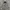 camo zipper, variant on ZHaobin New High Street Hip Hop Oversized Camo Hoodies Y2K Retro Hoodie Men Printed Camouflage Pattern Pullover Sweatshirts Streetwear (camo zipper,M)