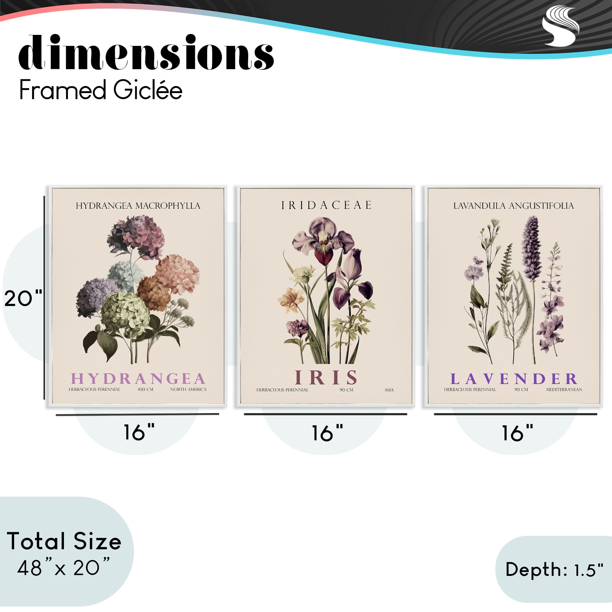 Stupell Industries Botanical Bundles & Sprigs 3 Piece White Framed Giclee Art Set, design by Christopher Giampietro
