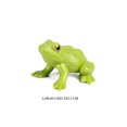 thumbnail image 1 of Realistic Amphibians Frogs Life Cycle Figures Rainforest TreeFrog Bullfrog Animals Model Decoration Collection Party Favors Toys, 1 of 1