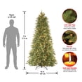 thumbnail image 2 of National Tree Company Pre-Lit 'Feel Real' Artificial Slim Christmas Tree, Green, Tiffany Fir, White Lights, Includes Stand, 7 Feet, 2 of 6