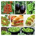 thumbnail image 6 of Calipots 10-Pack 3 Gallon Premium Black Plastic Nursery Plant Container Garden Planter Pots (3 Gallon), 6 of 8