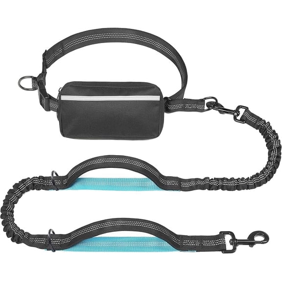 WAAYEE Hands Free Dog Leash with Zipper Pouch, Dual Padded Handles and Durable Bungee for Walking, Jogging and Running Your Dog (Large, 25-120 lbs, Black)