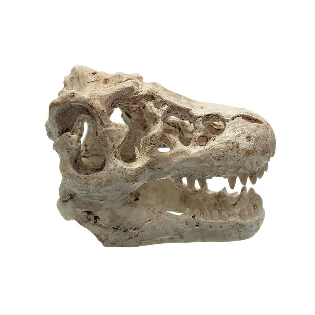 Resin Aquarium Decoration Crocodile Skull For Fish Tank Ornament tank ;fish