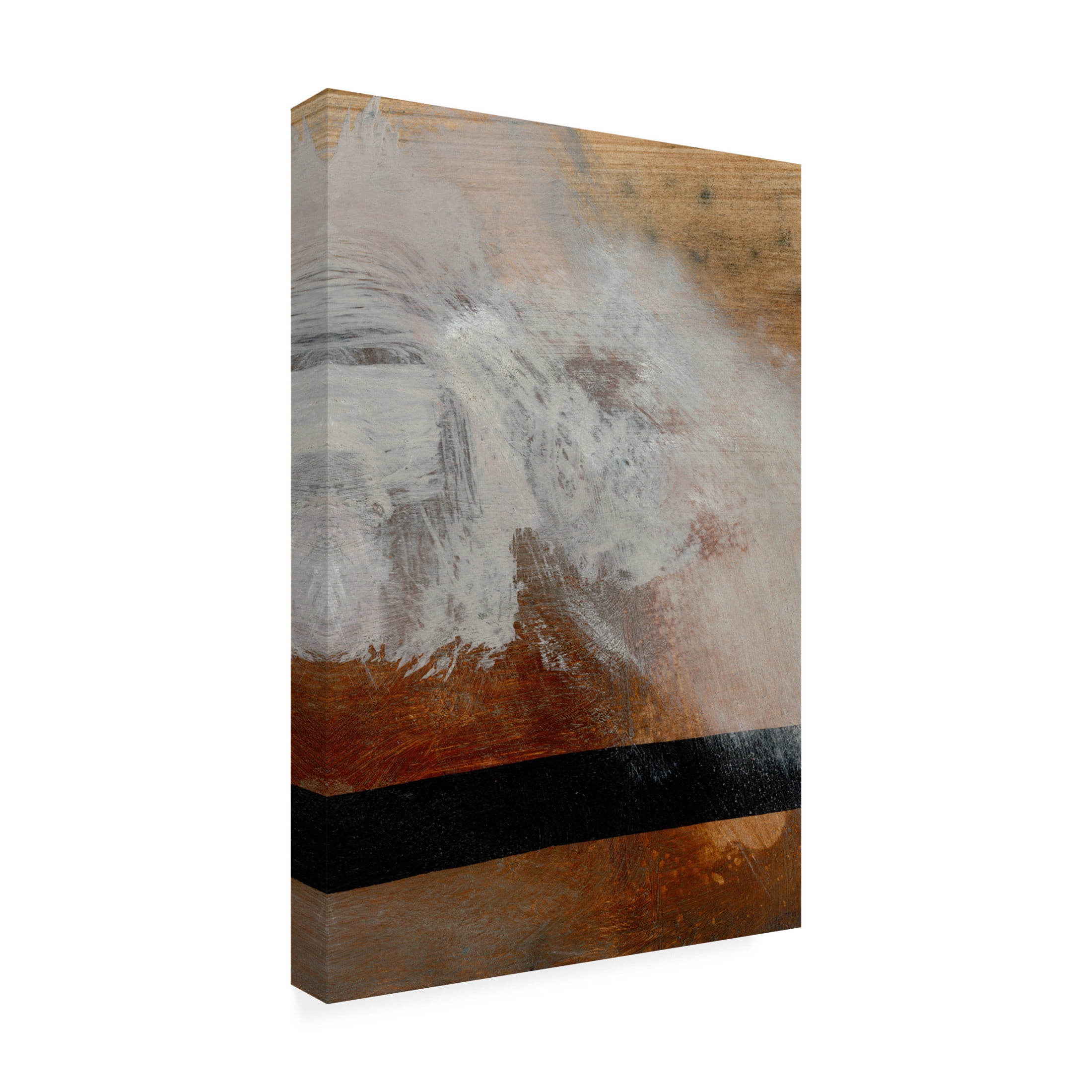 Trademark Fine Art Dan Hobday Layers Canvas Wall Art