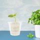 thumbnail image 4 of GOOHOCHY 4 cestas hidropónicas para cultivo de verduras, balcón, macetas de red, vasos de cultivo sin tierra con control de raíces, macetero hidropónico de plástico., 4 of 8