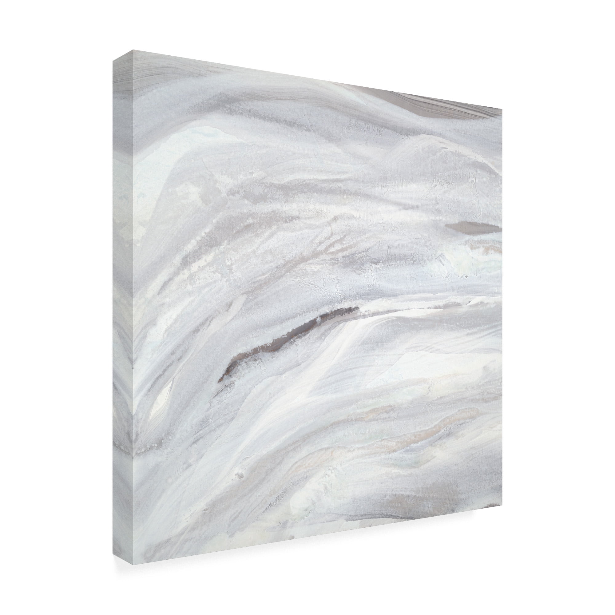 Trademark Fine Art 'Silver Fragments I' Canvas Art by Teodora Guererra