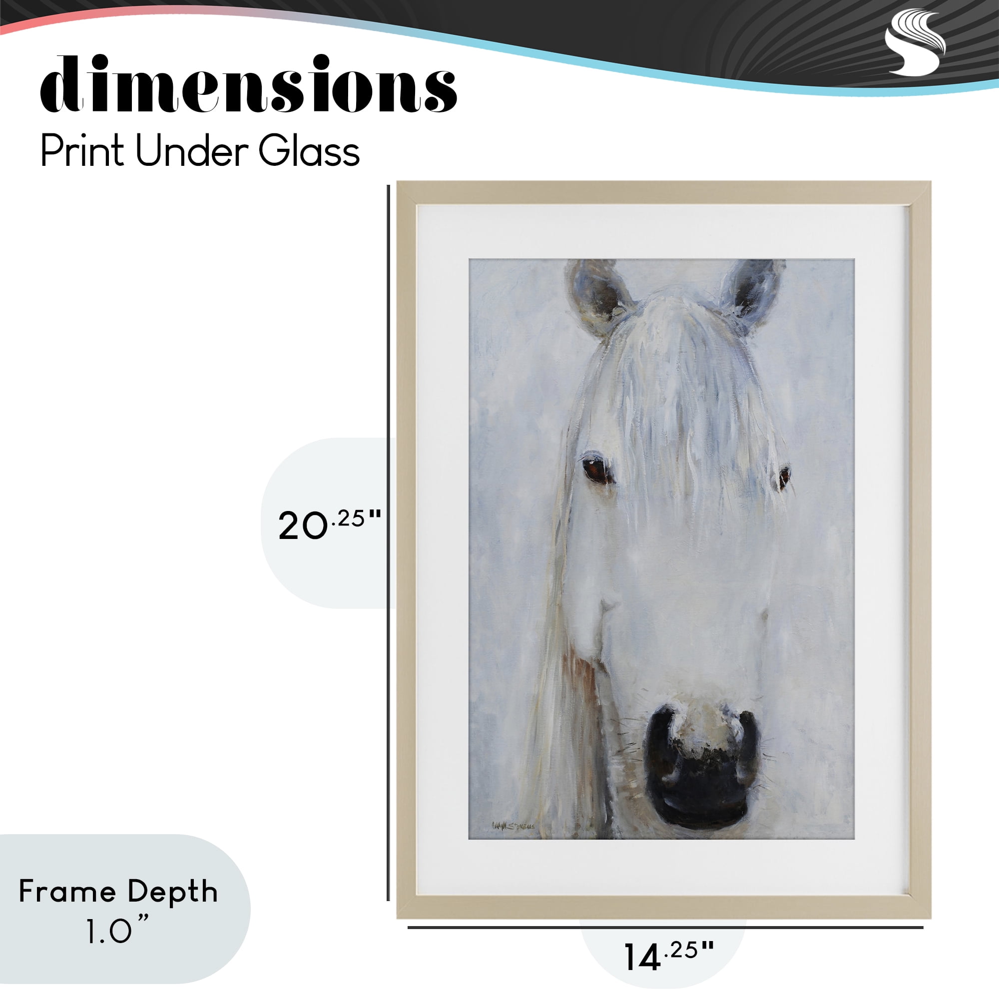 Stupell Industries Pure White Horse Portrait Birch Framed Print Under Glass, design by Jadei Graphics