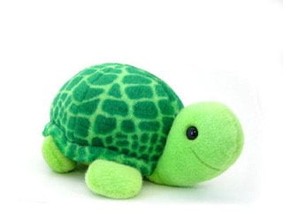 small stuffed turtle