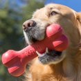 thumbnail image 4 of Juguete Kong Goodie Bone Rojo con Forma de Hueso para Perro Chico, 4 of 5