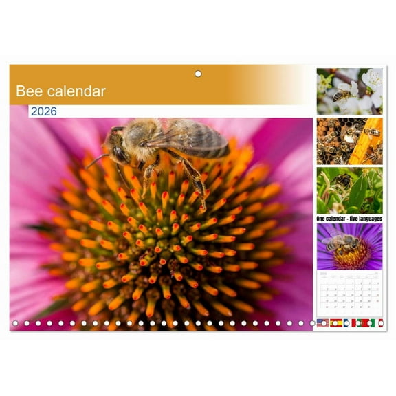 Bee calendar (Monthly Wall Calendar 2026 11.7 x 16.5 (open)), CALVENDO 14 Month Calendar