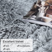 BLEUM CADE Luxury Fluffy Fuzzy Queen Bedding Comforter Set,4 Pieces Shaggy Duvet Cover Set,Furry Plush Velvet Comforter Cover with Zip Closure,Queen,Light Grey