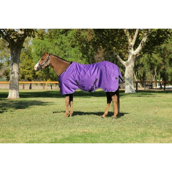 Kensington Pony Signature Turnout (180g Medium), Purple, Size: 60