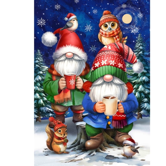 Briarwood Lane Winter House Flag 40x28 For Outdoor Warm Wishes Gnomes For Winter House Flag