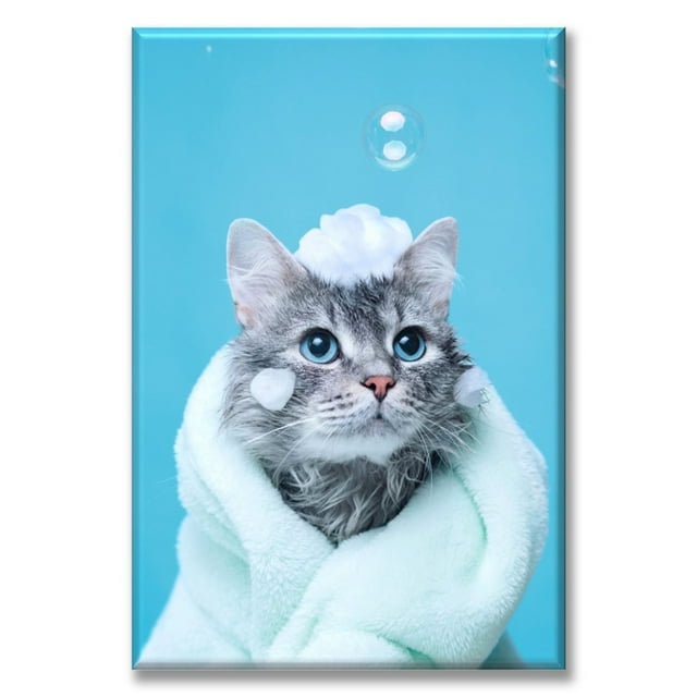 Cuadro Canva Listo Para Colgar Tipo Galería Baño Al Gato 50X75 cm