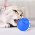thumbnail image 3 of Methold Mascotas persiguiendo dientes moler bola intermitente jardín patio Animal buscar bolas USB carga juguete mascotas suministros Suministros para perros, 3 of 6