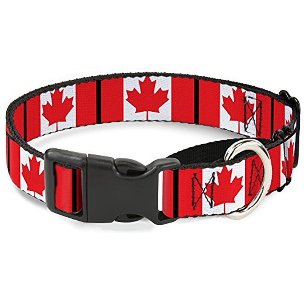 buckle-down canada flags martingale dog collar