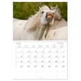 thumbnail image 6 of Camargue horses - Southern French white horses (Monthly Wall Calendar 2026 16.5 x 23.4 (open)), CALVENDO 14 Month Calendar, 6 of 9