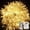 Warm, variant on Christmas Tree Fairy Lights, 10M 80 LED Christmas Tree String Lights with 8 Modes and Timer Function Waterproof Battery for Tree Party