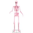 thumbnail image 7 of 8FT Animated Giant Pink Skeleton Decoration, 7 of 7