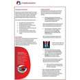 thumbnail image 3 of Thermoskin Ceinture de Hernie Blanche, Moyenne, 3 of 4