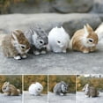 thumbnail image 2 of LIWEN Bunny Figurine - 3D Eyes - Faux Rabbit Fur - Cute Animal Craft Solid Model Ornament - Miniature Simulation Easter Bunny Model - Decoration - Easter Gift, 2 of 8