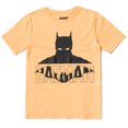 thumbnail image 3 of DC Comics Justice League Batman Toddler Boys 2 Pack T-Shirts Toddler to Big Kid, 3 of 5