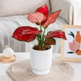 thumbnail image 2 of Self Watering Plant Pot Plastic Flower Pot with Water Reservoir Wick Ropes Modern Indoor Planter for Home Office Desktop, 2 of 8