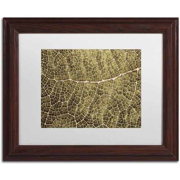 Trademark Fine Art 'Sepia Leaf Texture' Canvas Art by Cora Niele, White Matte, Wood Frame