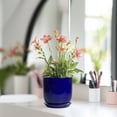 thumbnail image 5 of Ordivic 5 inch Round Blue Ceramic Planter with Drainage Hole & Saucer, Small Flower Pot for Succulents Cacti Mini Bonsai Indoor Home Office Decor, 5 of 7