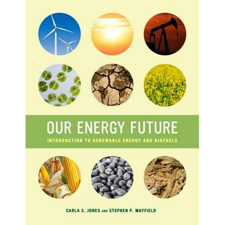 Our energy future essay