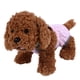thumbnail image 1 of Pañal para perras, Pañal para perras Pantalones fisiológicos para perras en celo Pantalones fisiológicos para perros de alta intensidad, 1 of 2