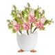 thumbnail image 4 of Decoraciones de Pascua, adornos de Pascua, regalos de Pascua, huevos de Pascua, jarrón, almacenamiento de huevos, adorno de escritorio, mesa de comedor, estante de gran capacidad, plástico, cilindro p, 4 of 8