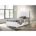 thumbnail image 5 of Pemberly Row Contemporary Wood Twin Bed with LED Lighting White and Gold, 5 of 6