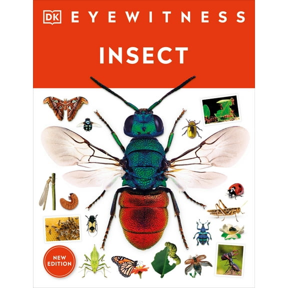 DK Eyewitness Eyewitness Insect, (Paperback)