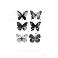 thumbnail image 2 of Charro, Mercedes Lopez 11x14 White Modern Wood Framed Museum Art Print Titled - Six Inky Butterflies, 2 of 4