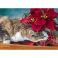 thumbnail image 1 of Taladro diamante pintura (DE4405) 5D DIY completo gato flor punto de cruz bordado artesanía 20X30cm Hugtrwg Para estrenar, 1 of 1