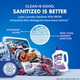 thumbnail image 4 of Lysol® Laundry Sanitizer Additive, Eliminates Odor Causing Bacteria, Lavender Fusion, 90 fl oz, 4 of 12