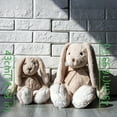thumbnail image 3 of Cute Bunny Stuffed Animal Rabbit Plush Toy, Easter Basket Essential Soft Plush Toys for Baby Kids Girls Women, Ideal Birthday Gift, 3 of 8