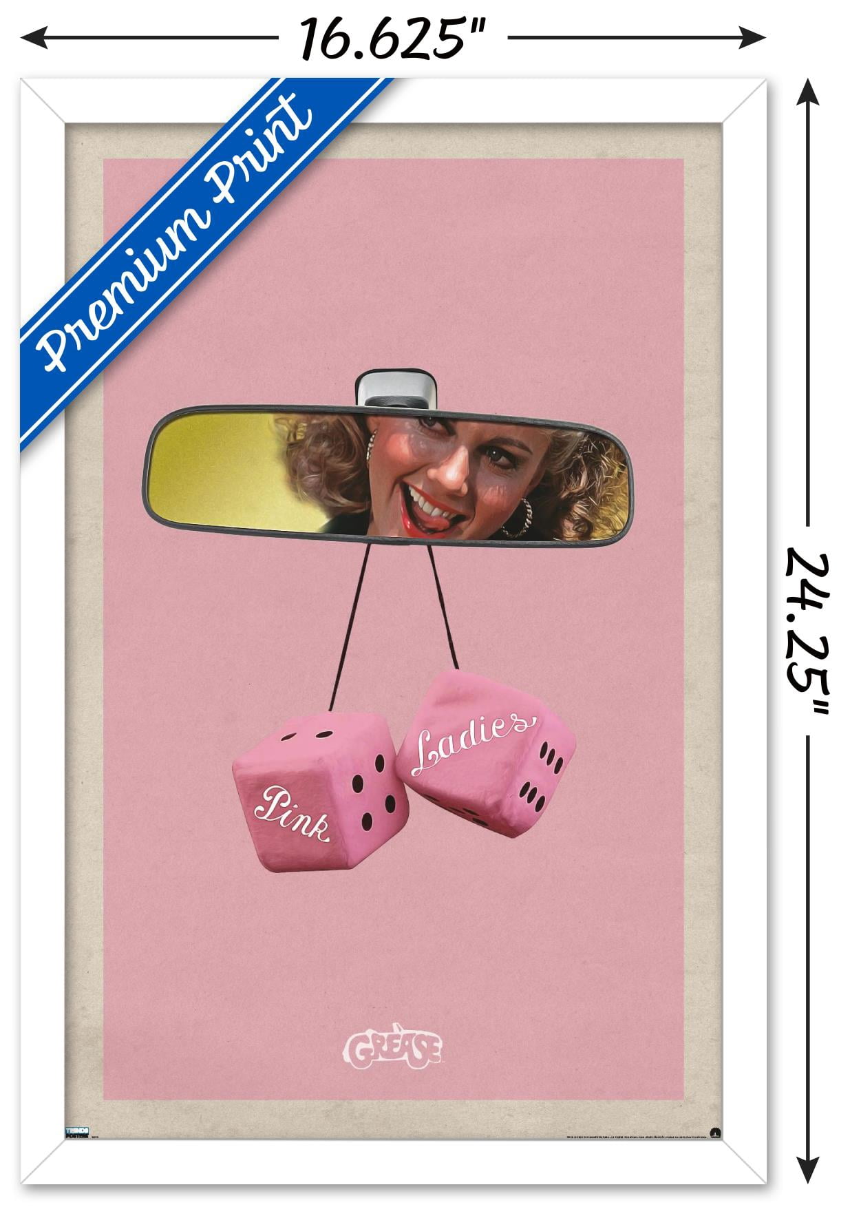 Grease - Dice Wall Poster, 14.725" x 22.375", Framed