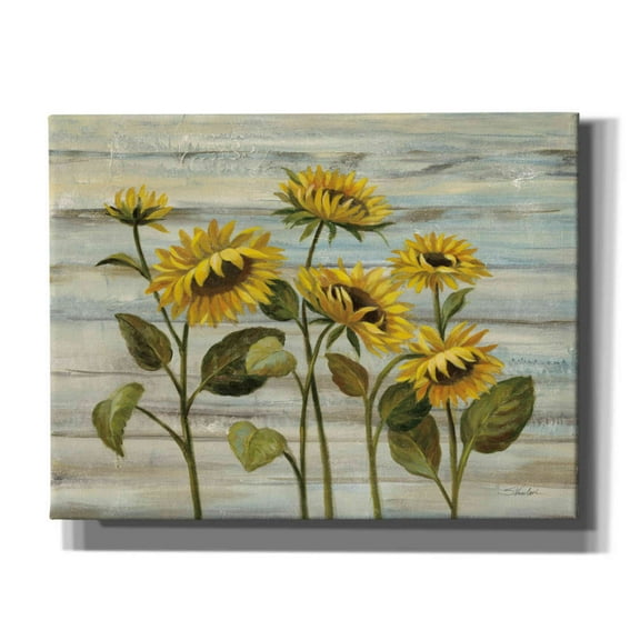 Epic Graffiti 'Cottage Sunflowers' by Silvia Vassileva, Canvas Wall Art, 34"x26"