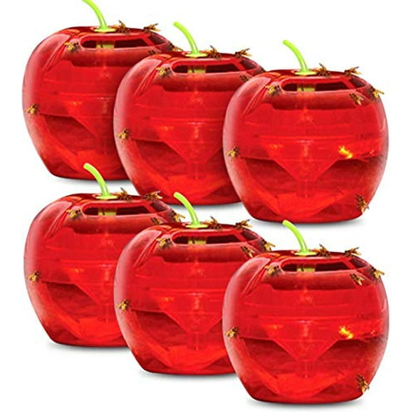 Raid Fruit Fly Trap Bundle, Set of 3 2-Pack Apple Fruit Fly Catcher Indoor Trap, 360-Day Supply of Fruit Fly Traps for Kitchen & Dining Areas, Reusable Gnat Traps w/Food-Based Lure