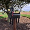 thumbnail image 3 of Garden Animal Shape Mailbox Weatherproof Dog And Pig Postal Box For Farm Yard Patio Mailbox Outdoor, 3 of 5