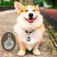 thumbnail image 3 of Placa Perro Personalizada Hueso Tag Acero Inoxidable Premium Color Negro, 3 of 3