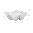 thumbnail image 3 of Decorative Pearlized Shell Bowl for Coffee Table - Home Decor Accent for Kitchen Counter, Living Room, and Entryway Display - Stylish Bowl for Key, Candy, and Catchall Dish - 5", Ivory & Tan, 3 of 12