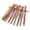 10 Pcs, variant on Prettyui Pure Natural Wood Polygonum Sticks Pet Cat Molar Toothpaste Stick Cat Cleaning Teeth