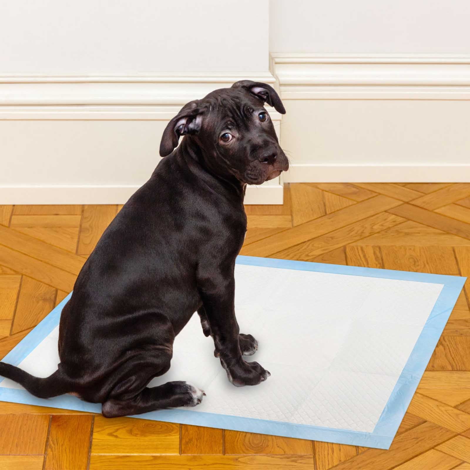 crgrtght Today Deals Prime Dog Diaper Pad Diaper Absorbent Diaper Pet Thickened Small Disposable Diaper